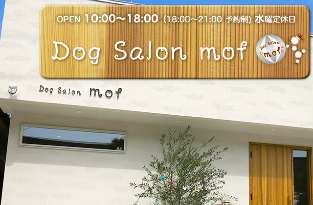 Dog Salon mofドッグサロンモフ